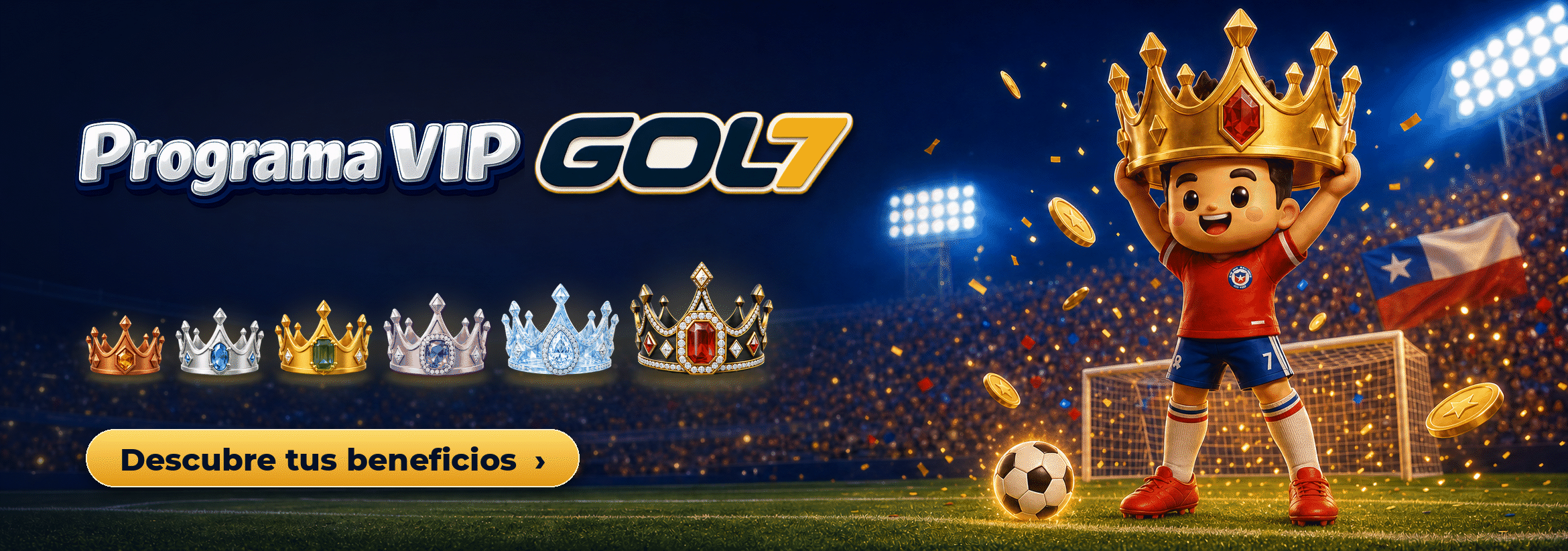 Programa VIP GOL7