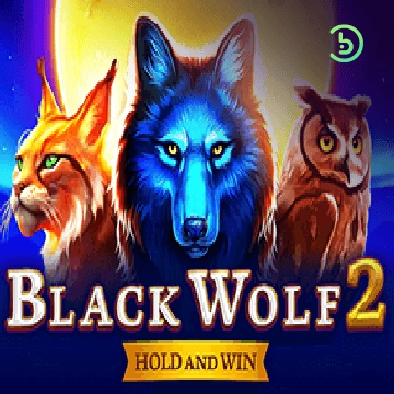 รวมเกมสล็อตทุกค่าย - Black Wolf 2
