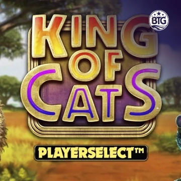 รวมเกมสล็อตทุกค่าย - King of Cats