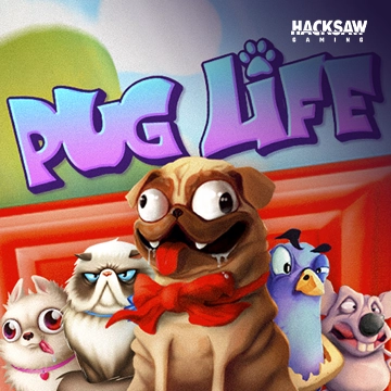 รวมเกมสล็อตทุกค่าย - Pug Life