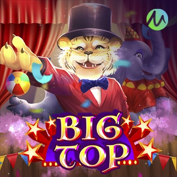 รวมเกมสล็อตทุกค่าย - Big Top