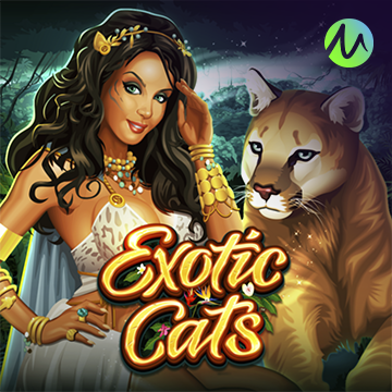 รวมเกมสล็อตทุกค่าย - Exotic Cats