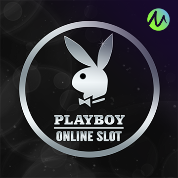 รวมเกมสล็อตทุกค่าย - Playboy
