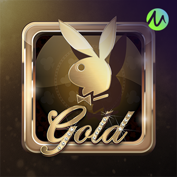 รวมเกมสล็อตทุกค่าย - Playboy Gold