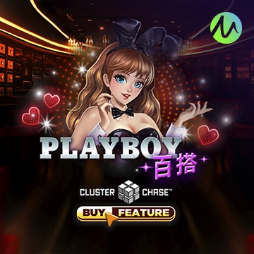 รวมเกมสล็อตทุกค่าย - Playboy Wilds