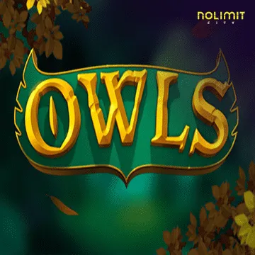 รวมเกมสล็อตทุกค่าย - Owls