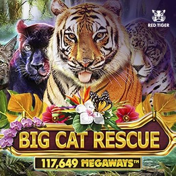 รวมเกมสล็อตทุกค่าย - Big Cat Rescue Megaways