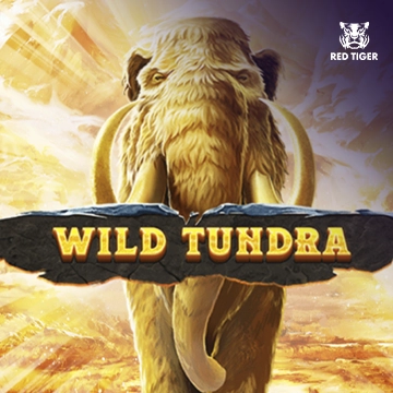รวมเกมสล็อตทุกค่าย - Wild Tundra